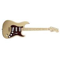 Fender Stratocaster Deluxe Players RW Honey Blonde consegnata a domicilio in 1-2- giorni SPEDITA GRATIS_1