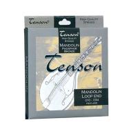 Muta di corde Tenson Mandolin Phosphor Bronze 010 - 034_1