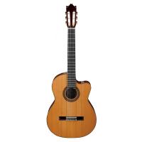 CHITARRA CLASSICA ELETTRIFICATA IBANEZ  G300CE-NT - _1