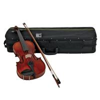 Gewa Set Violino 4/4 Aspirante Venezia - Con Astuccio Rettangolare_1