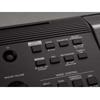 Yamaha PSR EW410 Tastiera con arranger - SPEDITA GRATIS_3