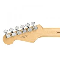 Fender Stratocaster Player PF 3TS - CONSEGNATA A DOMICILIO IN 1-2- GIORNI SPEDITA GRATIS_5