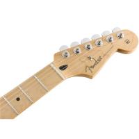 Fender Stratocaster Player HSS MN BCR - CONSEGNATA A DOMICILIO IN 1-2 GIORNI SPEDITA GRATIS_5