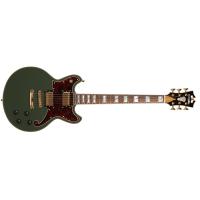 D'Angelico Deluxe Brighton Hunter Green CONSEGNATA A DOMICILIO IN 1-2 GIORNI - SPEDITA GRATIS_1