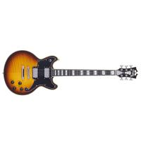 D'Angelico Deluxe Brighton Vintage Sunburst CONSEGNATA A DOMICILIO ENTRO 1-2 GIORNI SPEDITA GRATIS