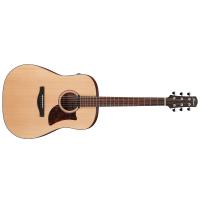 IBANEZ AAD100E OPN CONSEGNATA A DOMICILIO IN 1-2 GIORNI SPEDITA GRATIS