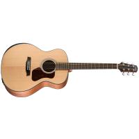 Walden WAG550RE Natura 500 Chitarra Acustica Elettrificata CONSEGNATA A DOMICILIO IN 1-2 GIORNI SPEDITA GRATIS