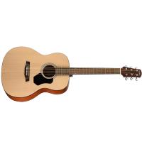 Walden WAO350W Chitarra Classica Orchestra Standard 300 Chitarra Acustica CONSEGNATA A DOMICILIO IN 1-2 GIORNI SPEDITA GRATIS_1