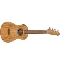 Fender Zuma Exotic Concert Ukulele WN Spalted Maple Ukulele Concerto NUOVO ARRIVO_1