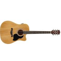 Richwood RD-12-CE Dreadnought Chitarra Acustica Elettrificata NUOVO ARRIVO_1