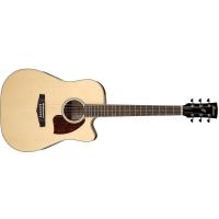 Ibanez PF16WCE NT Natural High Gloss Chitarra Acustica Elettrificata