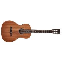 Richwood P-50-E Chitarra Acustica Elettrificata Parlor