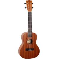 Flight NUC310 Ukulele Concerto_1