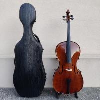 Accademia 1 Violoncello 4/4 con Custodia Rigida e Archetto